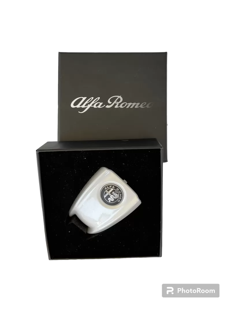 Custodia chiave alfa romeo